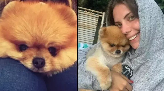 Eda Ece'den hamilelik paylaşımı!